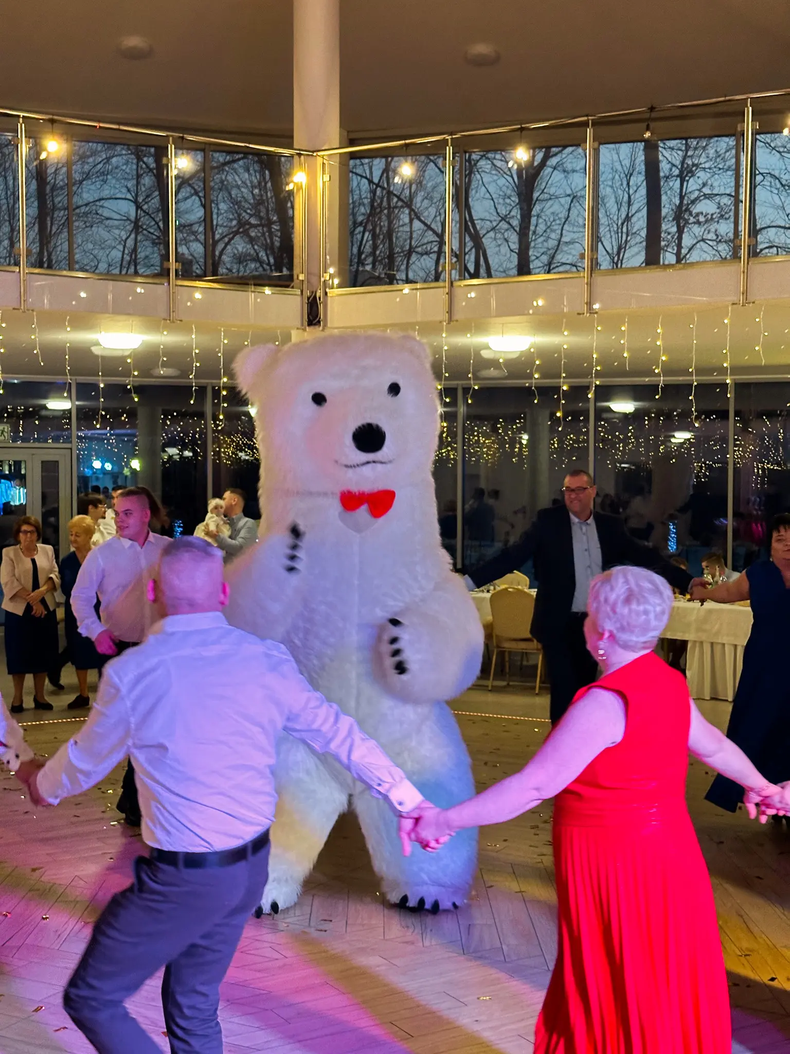 Biały Miś na weselu